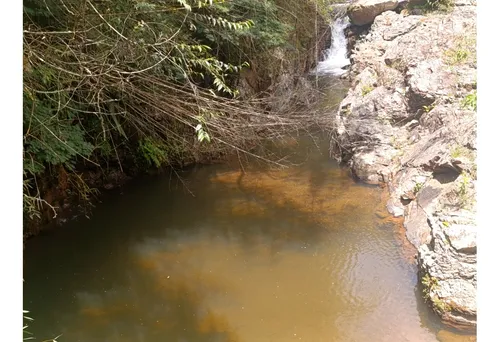Lote 2000m2 - Venta - Los Pirineos Km 37 Vía Queremal Dagua