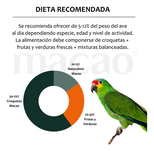 Alimento Macao Loro Amazona Cacatúa, Papilla 1k+ Croqueta 1k