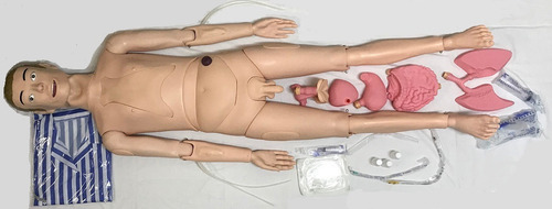 Imagem 2 de 2 de Manequim / Boneco P/ Enfermagem Bissexual C/ Órgãos