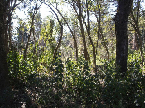 Venta Lote Villa La Angostura
