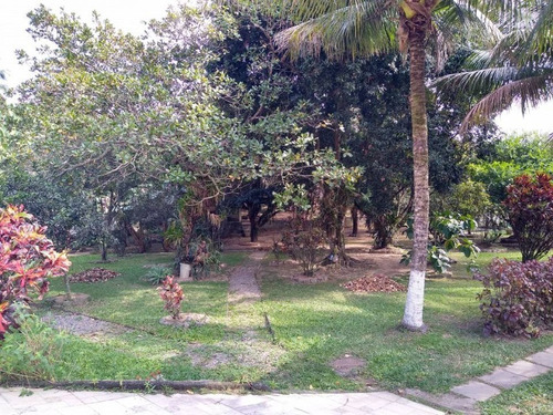 Imagem 6 de 23 de Campo Grande, Rio Da Prata, Lindo Sitio, Casa Principal Com 4 Quartos + Casa De Caseiro, 7330m², Documentaçao Ok - St00022 - 70996126