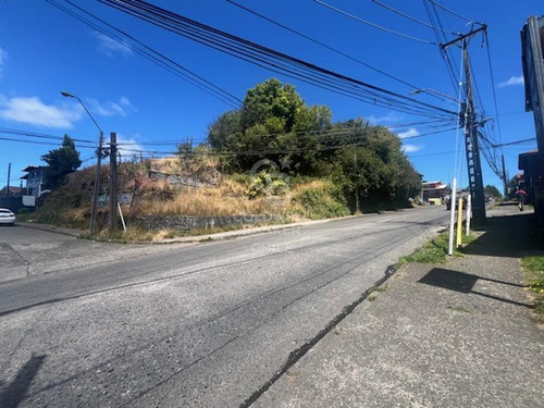 Venta De Sitio Comercial/ Trigal Con Crucero/puerto Montt