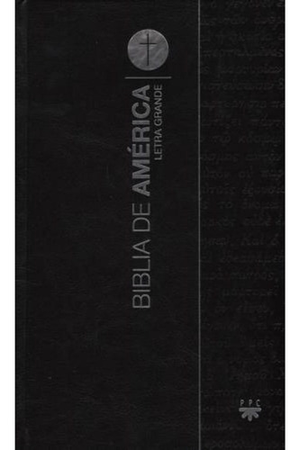 Libro Biblia De America L/g - Cartone 