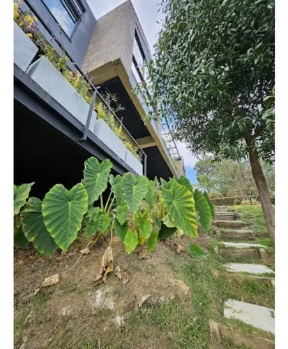 Rhbr-14053 (casa Campestre) 2 Niveles (envigado,alto De Las Palmas)