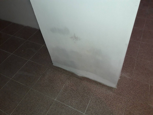 Imagen 7 de 11 de Venta De Padron Unico Con Cuatro Unidades. Galpon Y Tres Apartamentos.
