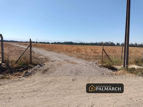 Parcelas En Venta 5000m2 Camino A Cato Chillán