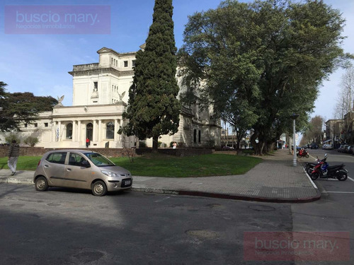 Imagen 18 de 20 de Local - Colonia Del Sacramento