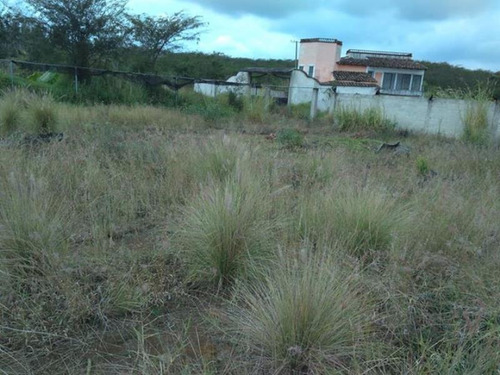 Imagen 8 de 10 de Terreno En Venta Villa Emiliano Zapata