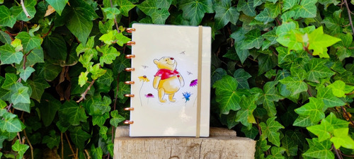 Cuaderno De Discos Winnie They Pooh