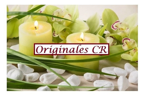 Animale Para Hombre. 100 Ml. Nuevo Y Original! Edt