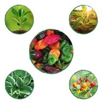 Comprar Kit De Fertilizantes Para La Siembra De Ají Habanero Colores