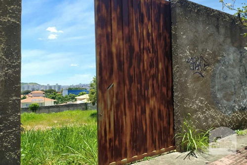 Imagem 5 de 10 de Lote À Venda No Bandeirantes - Código 278049 - 278049