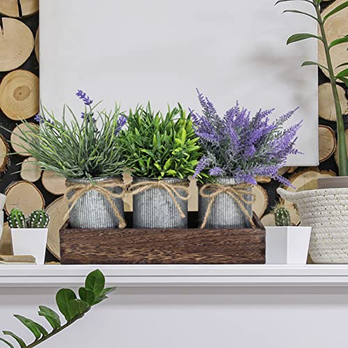 Conjunto 3 Plantas Artificiales En Macetas Galvanizadas Con