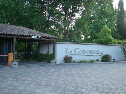 La Codorníz