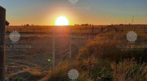 Imagen 7 de 20 de Terreno Emp. Rural En Venta Ubicado En San Vicente, G.b.a. Zona Sur