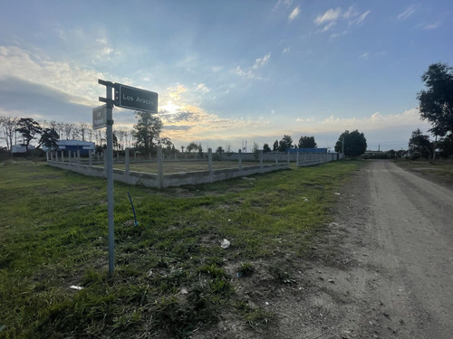 Hermoso Terreno Nivelado, Bien Delimitado, Y Pronto Para Edificar