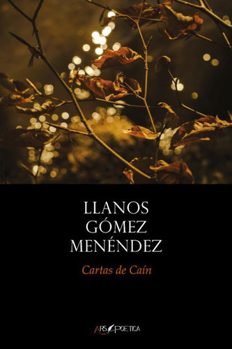 Cartas De Cain, De Gomez Menendez, Llanos. Editorial Ars Poetica, Tapa Blanda En Español
