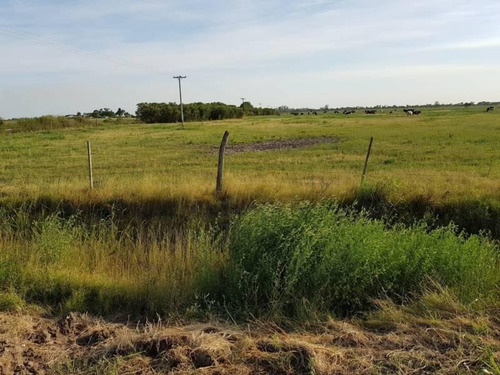 Imagen 7 de 8 de Vendo 90 Hectáreas Campo, Oportunidad