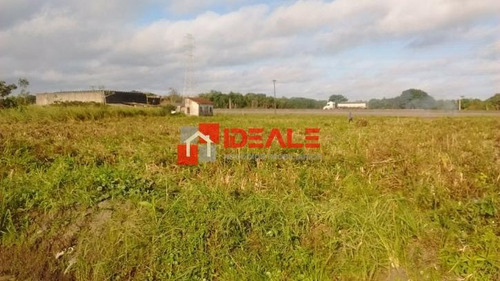 Imagem 2 de 7 de Área - Terrenos Para Empreendimento Frente Para Rodovia - 661