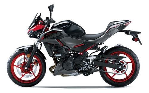 Kawasaki Z500 Se Abs