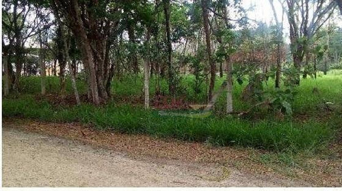 Imagem 1 de 5 de Terreno À Venda, 2500 M² Por R$ 250.000,00 - Una - Taubaté/sp - Te0734