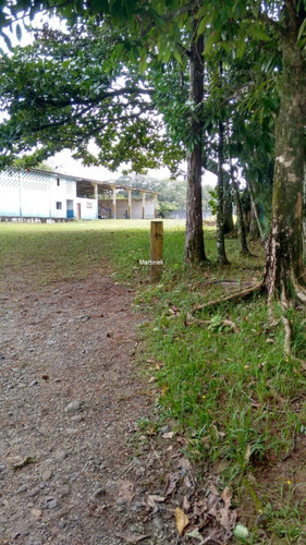 Imagem 2 de 7 de Area - Ar00003 - 70456493