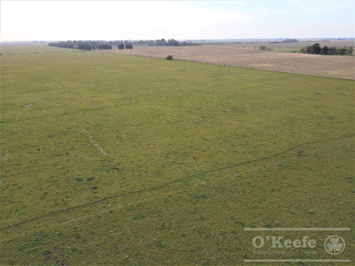Imagen 9 de 29 de Campo Mixto De 170 Has En San Vicente. Oportunidad!
