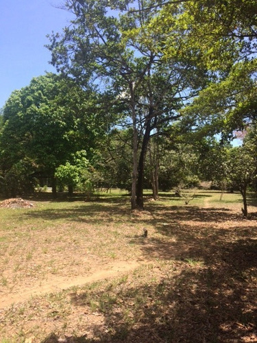 Melhor Área P/loteamento 91m Beira Pista, Granja 5.05 Hec, Guabiraba, Aceito Imóvel Ou Carro - Ch00009 - 67721727