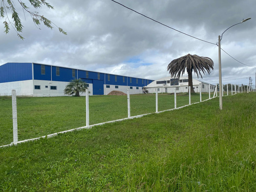Dueño Alquila, Gran Local. Ideal Depósito, Comercio,industri