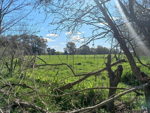 Imagen 11 de 21 de Chacra - 47 Has Panamericana Ramal Pilar Km 61