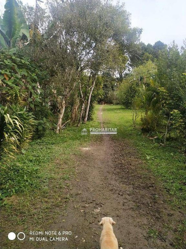 Imagem 3 de 15 de Chácara Com 2 Dormitórios À Venda, 3200 M² Por R$ 175.000,00 - Engenheiro Marsilac - São Paulo/sp - Ch0213