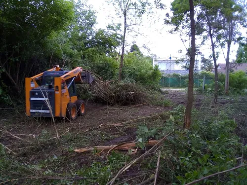Limpieza Y Desmonte De Terrenos . Alquiler Camion Y Bobcat