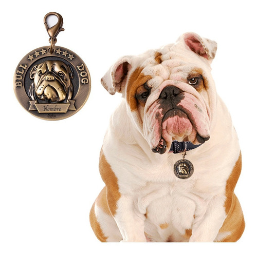 Placa Perro Personalizada Inoxidable Razas Medalla Grande Color Bull dog
