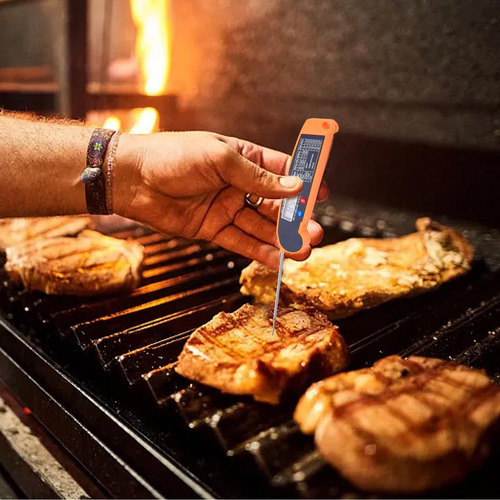Termómetros Para Alimentos Termómetros Digitales Para Carne