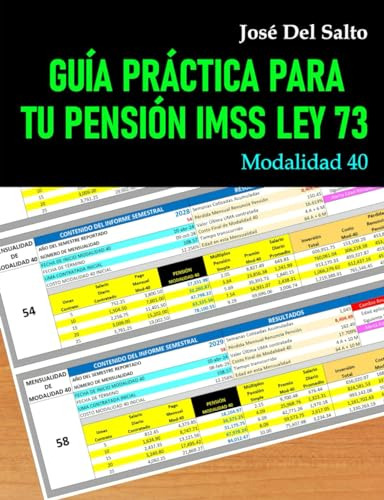 Guía Práctica Para Tu Pensión Imss Ley 73: Modalidad 40, De Del Salto, José., Vol. 1. Editorial Independently Published, Tapa Pasta Blanda, Edición 1 En Español, 2024