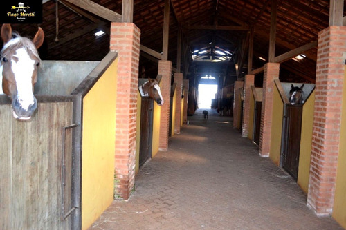Excelente Haras Em Piquerá Porto Feliz-sp À Venda - Ha00001 - 69229779