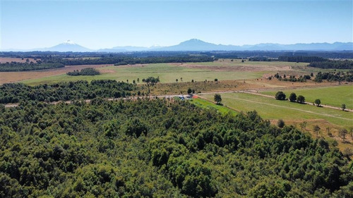 Imagen 10 de 12 de Campito En Venta En Puerto Varas