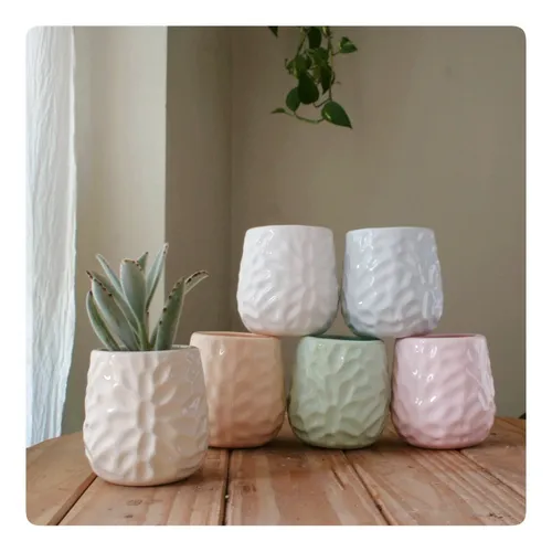 comprar Planta Suculenta Con Maceta De Ceramica  Colores Pasteles
