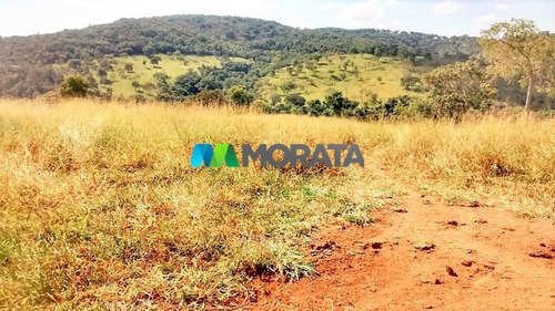 Imagem 11 de 15 de Fazenda - Zona Rural - Ref: 2771 - V-mta2771
