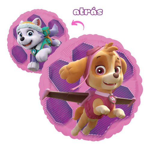 Globos Paw Patrol Skye Y Everest