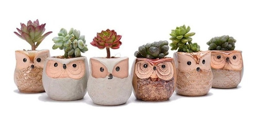 Imagen 7 de 10 de Macetas Mini Lapiceros X6 Unidades Ceramica Diseño Buhos