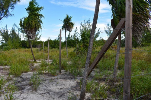 Imagen 8 de 10 de Terreno En Venta Isla Blanca En Laguna Chacmuchuc Cancún