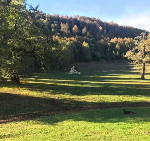 Imagen 21 de 29 de Agrícola 122 Ha. Con Rio Y Bosque Nativo En Venta Collipulli