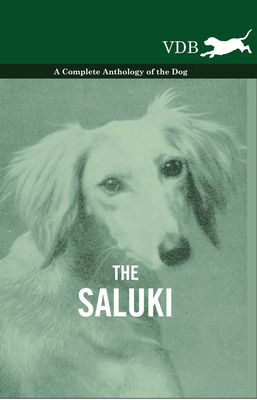 Libro The Saluki - A Complete Anthology Of The Dog - Vari...