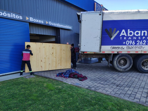 Imagen 7 de 10 de Camion 9 Mtrs. Mudanzas Profesional Mercado Pago 099 027 222