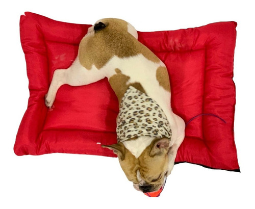 Cama Para Perro 90x70 Cm Comoda Colchoneta De Mascotas