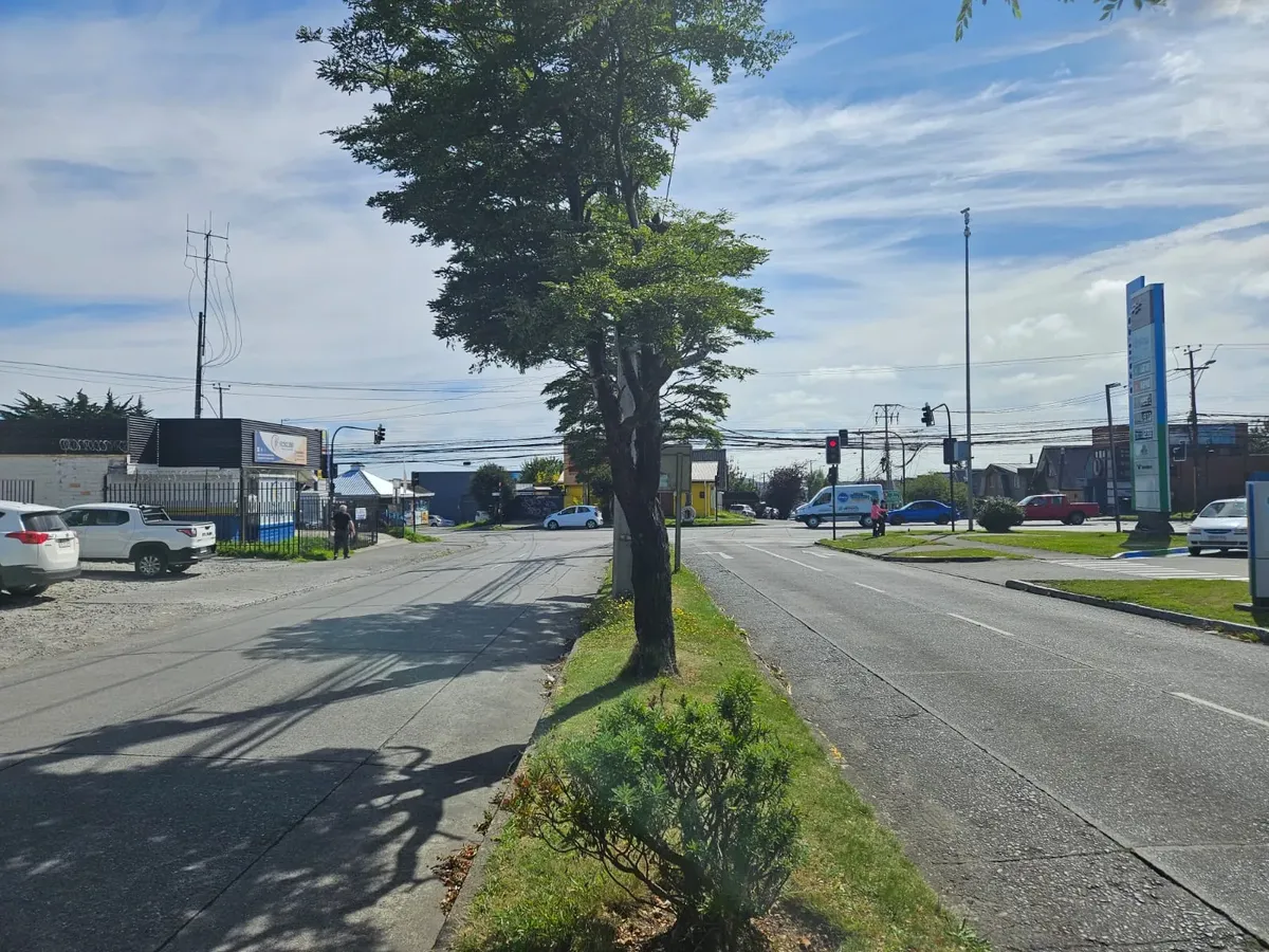 Imagen 4 de 30 de Se Vende Casa Comercial Ubicada En Sector Cardonal