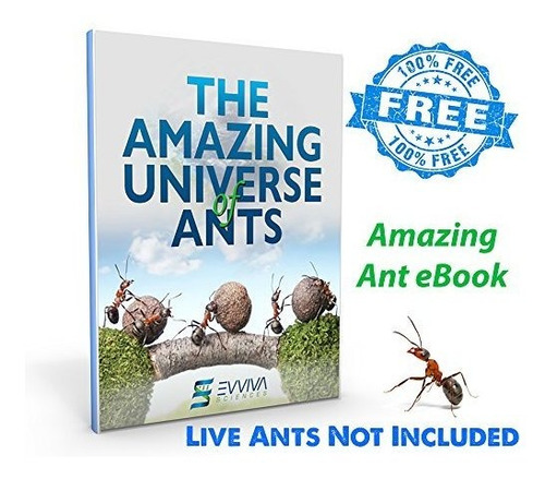 Ant Farm Con Luz Led. Disfruta De Un Magnifico Ecosistema. I