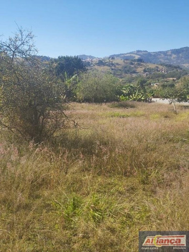 Imagem 9 de 15 de Terreno À Venda, 3000 M² - Centro - Itapeva/mg - Ai17864