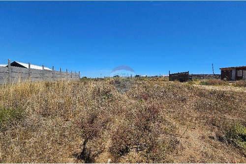 Excelente Terreno En Guanaqueros, Oportunidad